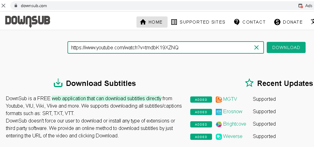 Download YouTube subtitles using website