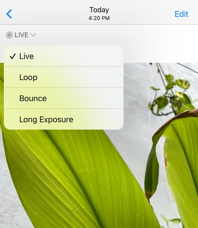 Apply Bounce or Loop effect on Live Photos