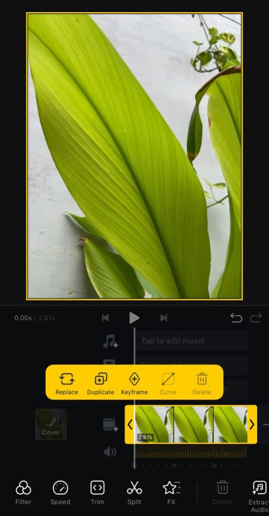 Edit Live Photos as videos using VN app