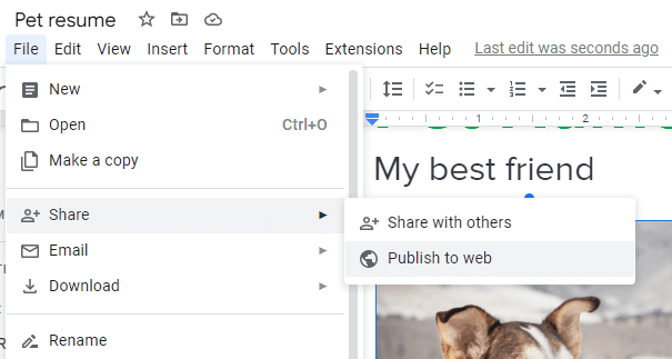 Publish Docs to Web