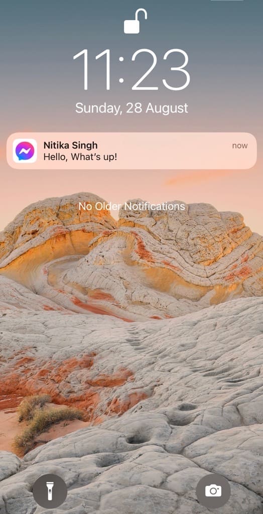 Read Facebook messages from notification