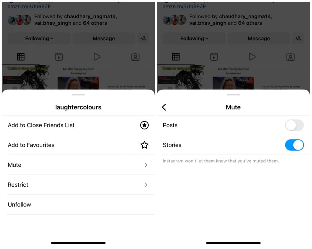 Mute stories on Instagram