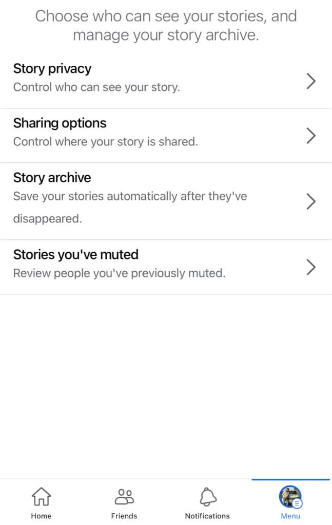Select Story privacy option