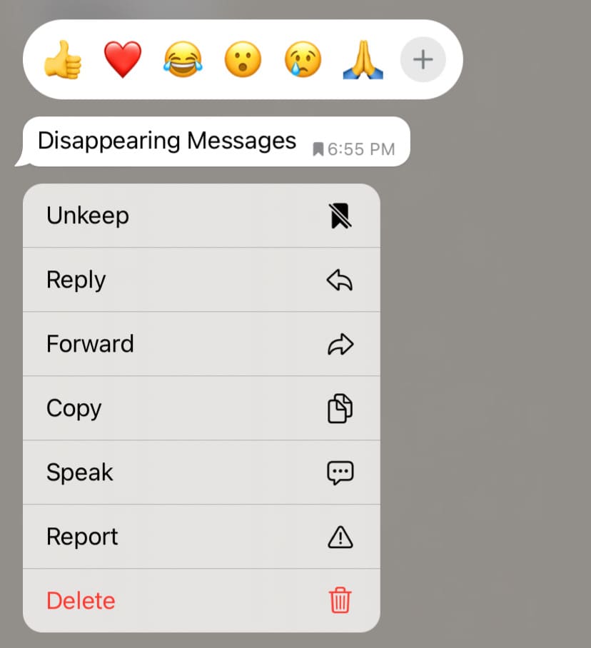Unkeep disappearing message from the chat