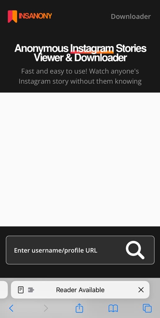 Instagram Story Viewer tool