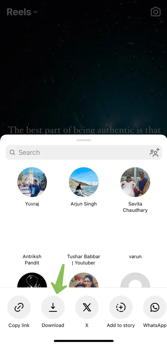 Download Instagram reel native option