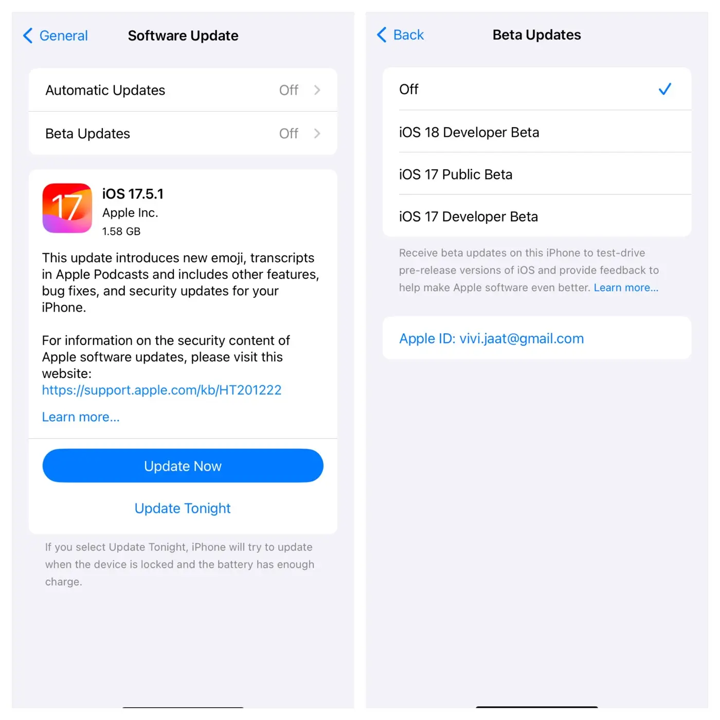 Go to Software Update in iPhone settings