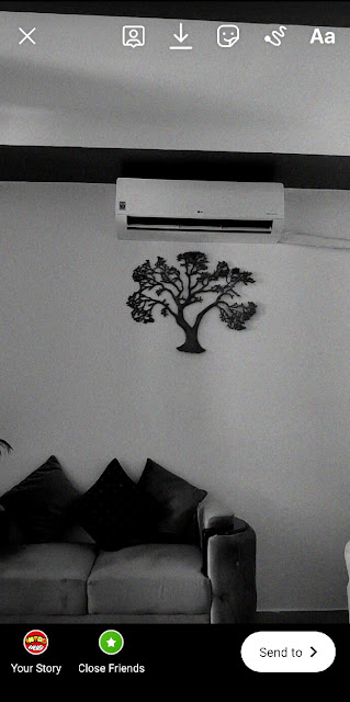black and white filter on Instagram
