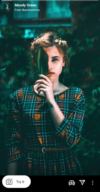 moody green filter on Instagram