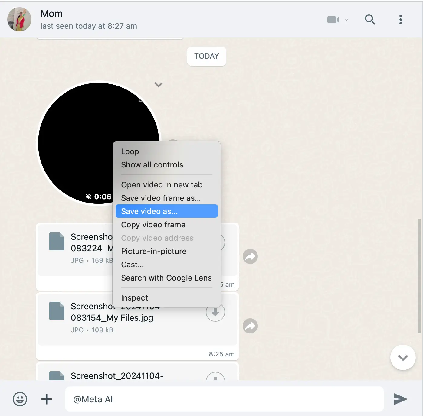 Save video notes on WhatsApp Web